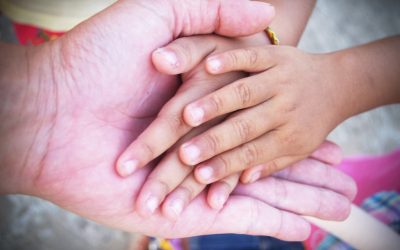 Que modelo de Ação Social Católica se coloca em prática nas nossas Instituições?
