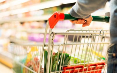 Formação sobre “Gestão de Compras e Gestão de Ementas”